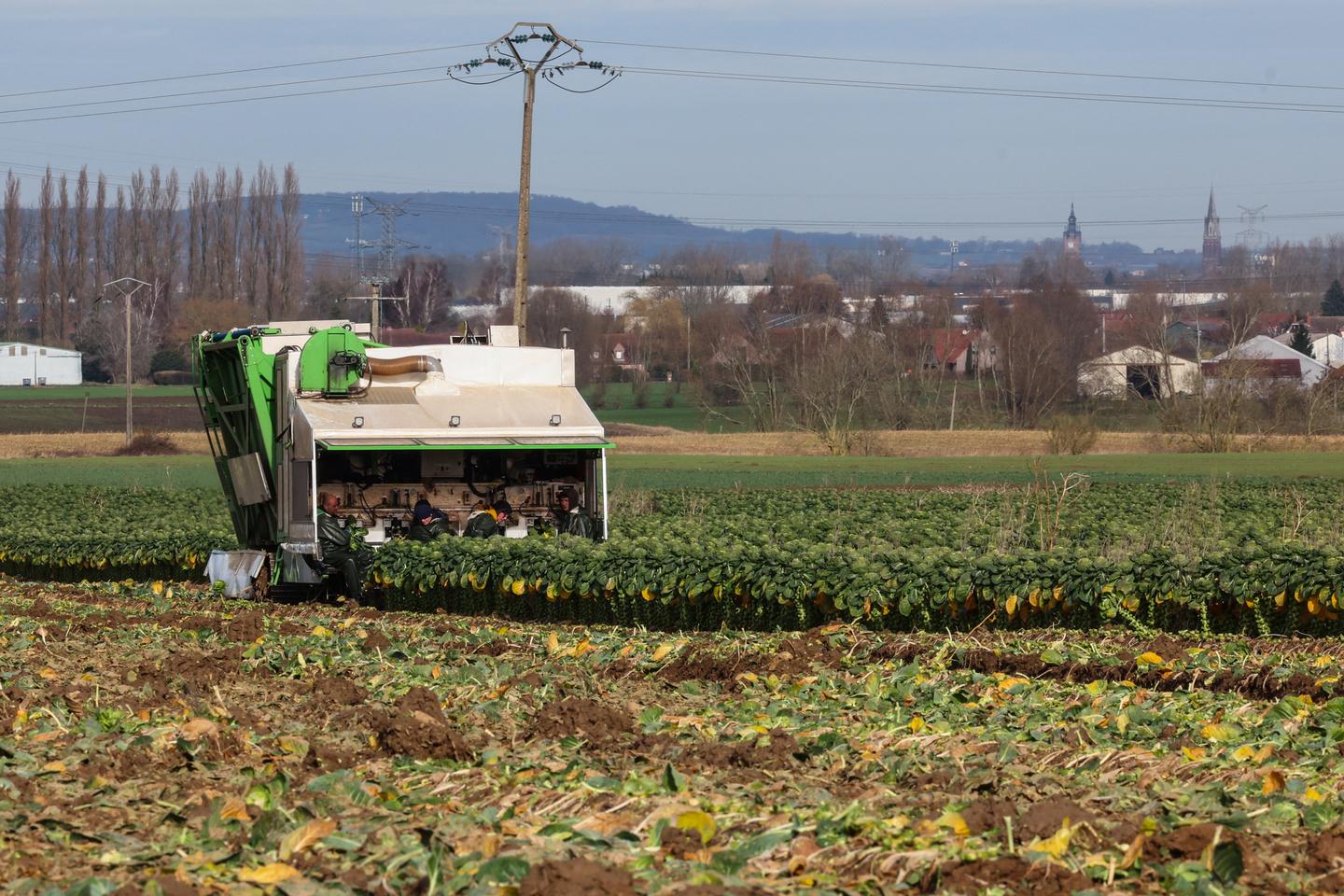 « L???avenir ne sera assuré qu???avec une agriculture paysanne relevant de l???agroécologie »