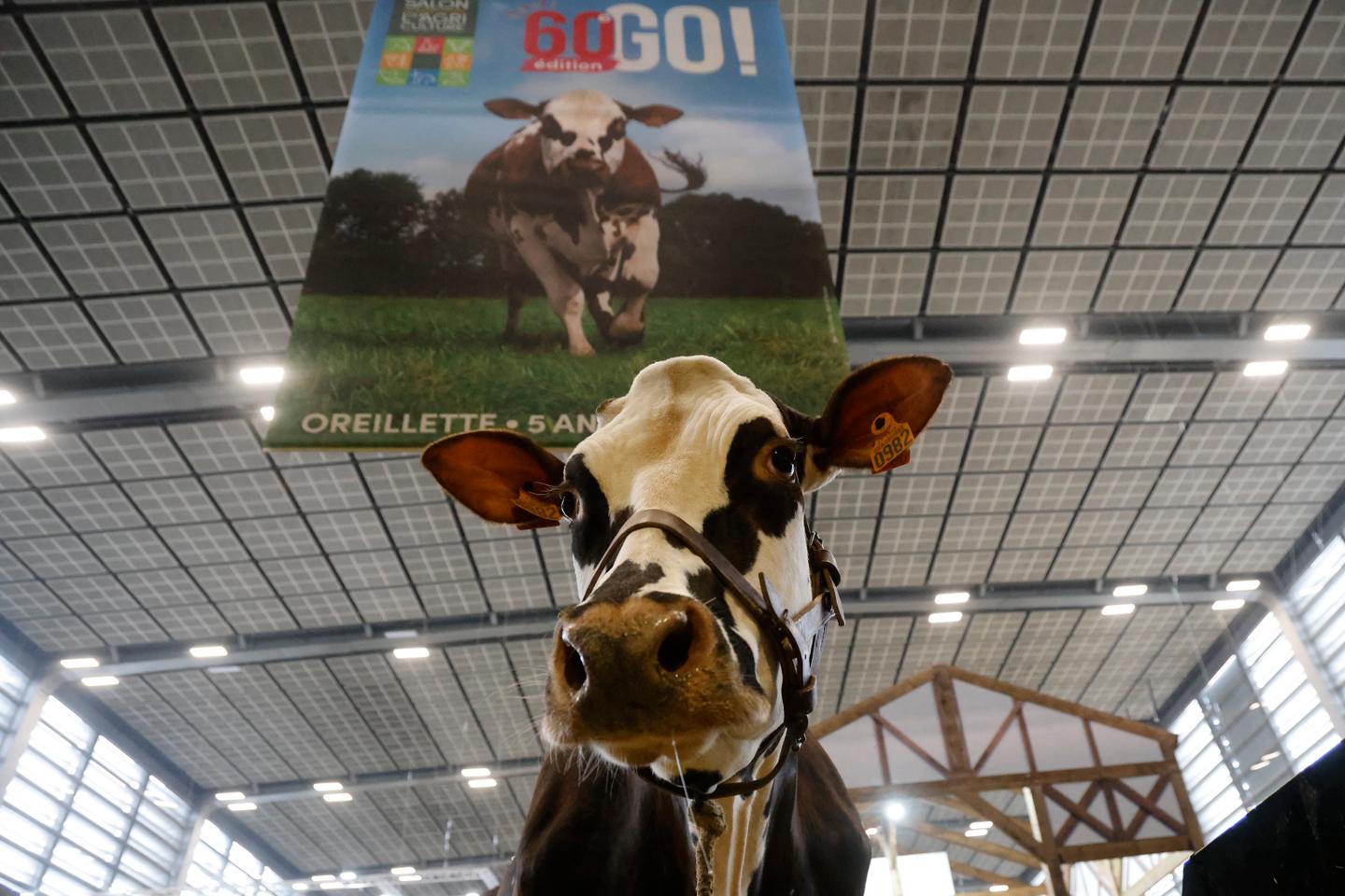 Le Salon de l???agriculture s???achève, la colère des agriculteurs demeure