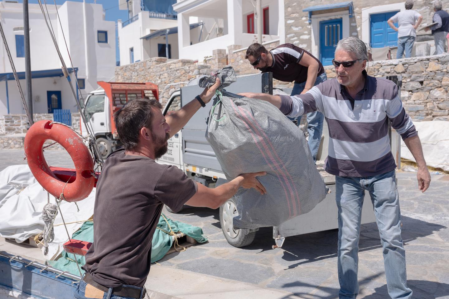 Pêche : la Grèce multiplie les initiatives pour protéger les ressources