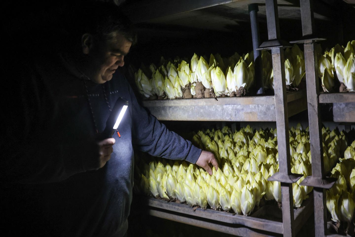 Les coopératives agricoles dans l???angle mort de la colère paysanne