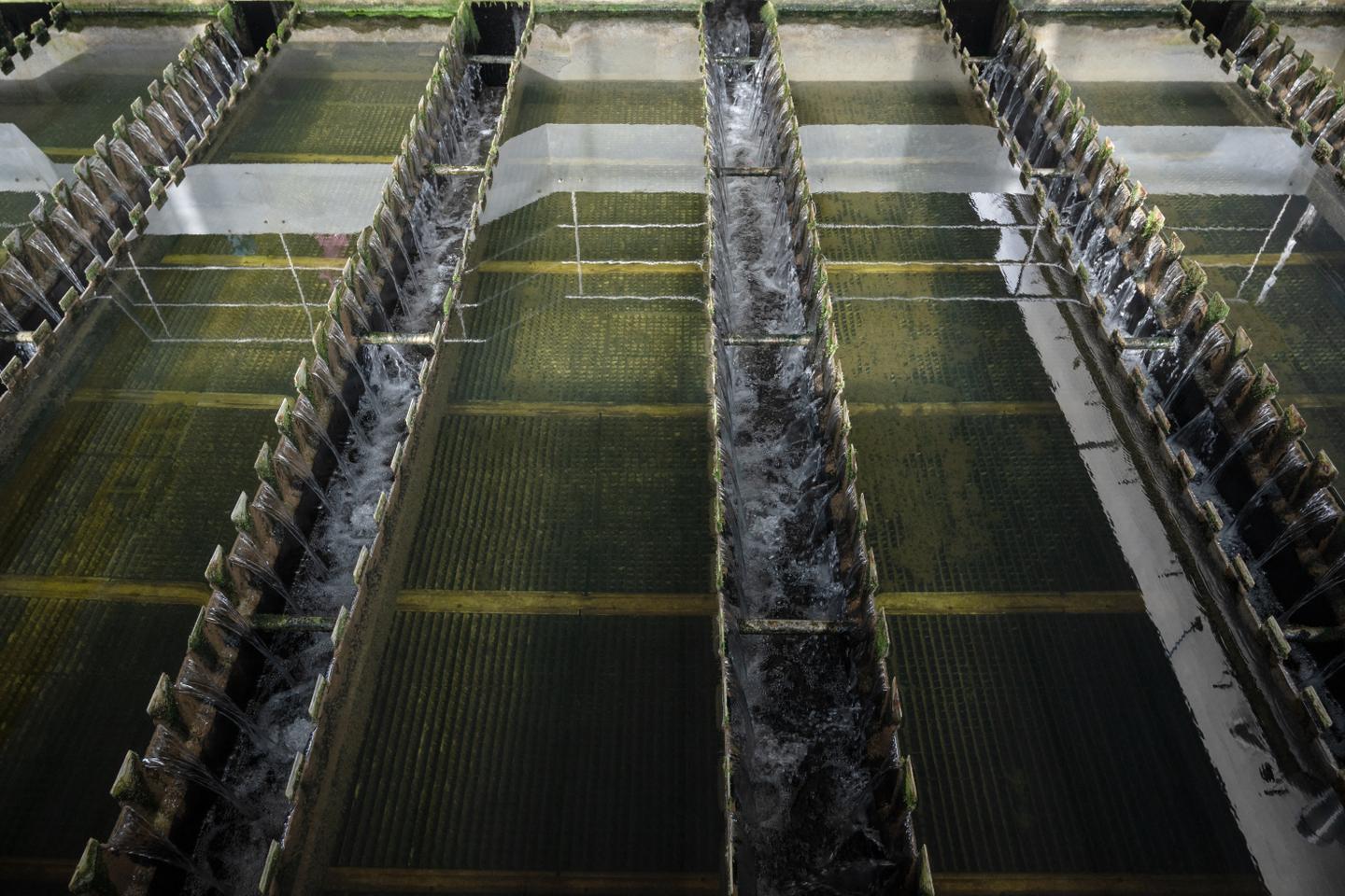 Pollution de l???eau potable : les risques liés à un métabolite de pesticides revus à la baisse