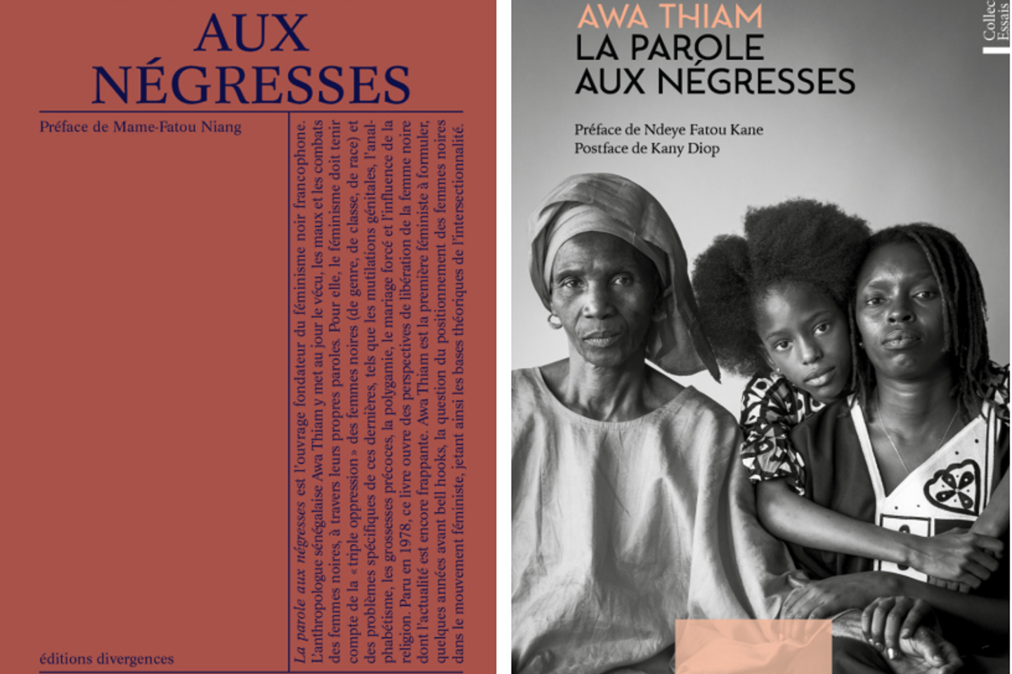 « La Parole aux Négresses », réédition d???un manifeste féministe qui a fait date