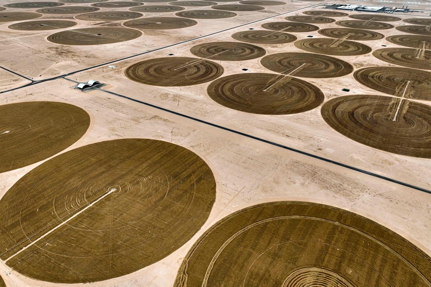 « La dégradation de l???environnement devient une force inflationniste qui ne peut plus être...