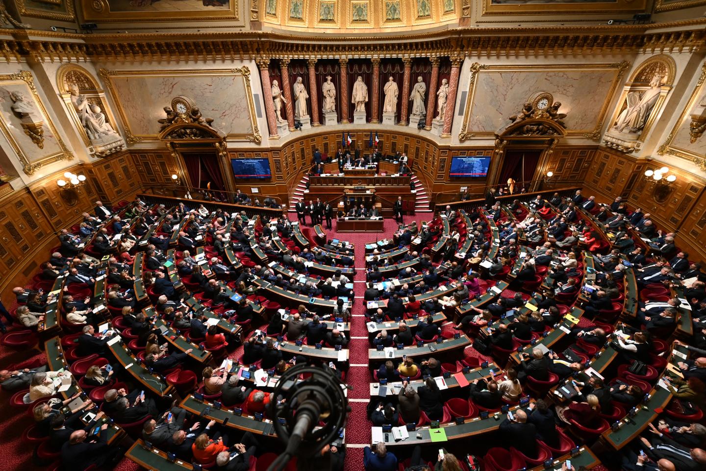 Le Sénat pose des interdictions à la prise en charge médicale des mineurs transgenres