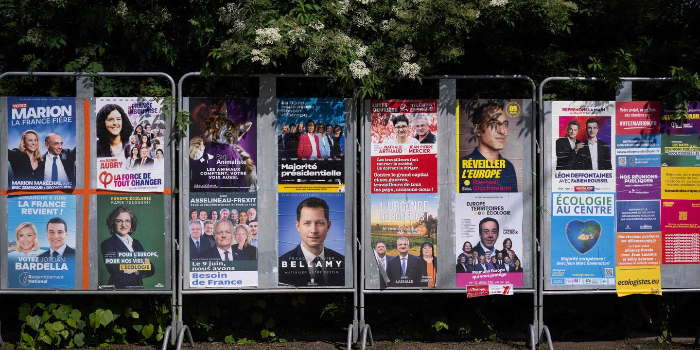 En direct, européennes 2024 : vous n???avez pas eu le temps de lire le programme des candidats ?...