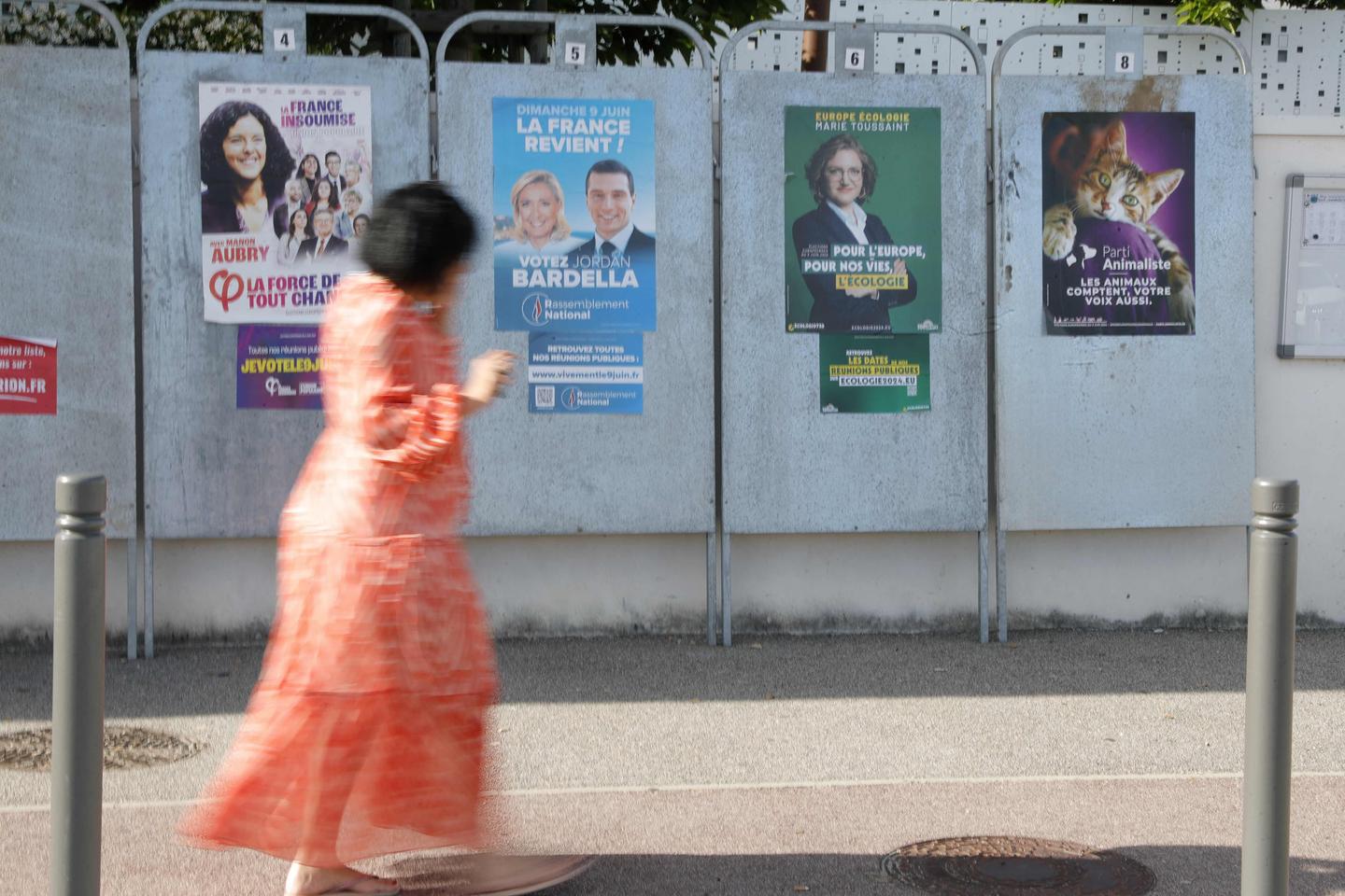Résultats des élections européennes : les paradoxes d???une Corse au c??ur autonomiste, ayant...