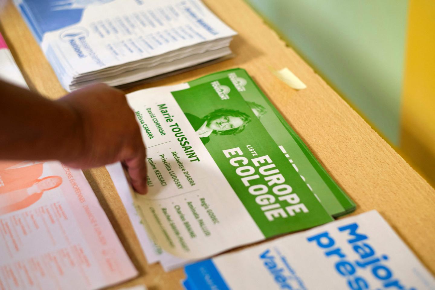 Elections européennes : le vote écolo décroche dans les villes vertes