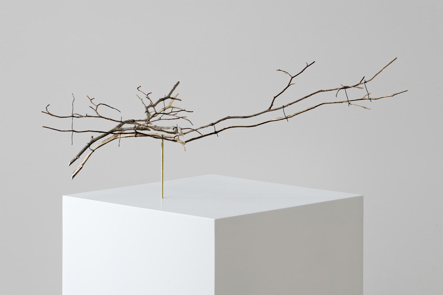 Sélection galerie : Daniel Steegmann Mangrané chez Esther Schipper