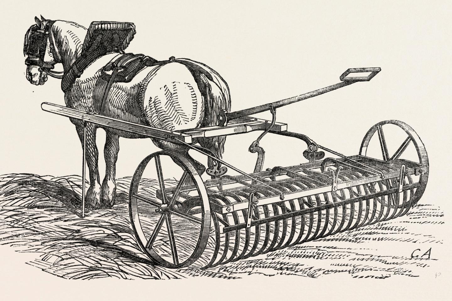 « Le Cheval en robe de mariée », de Bernadette Lizet : secrets de maquignons étalés au...