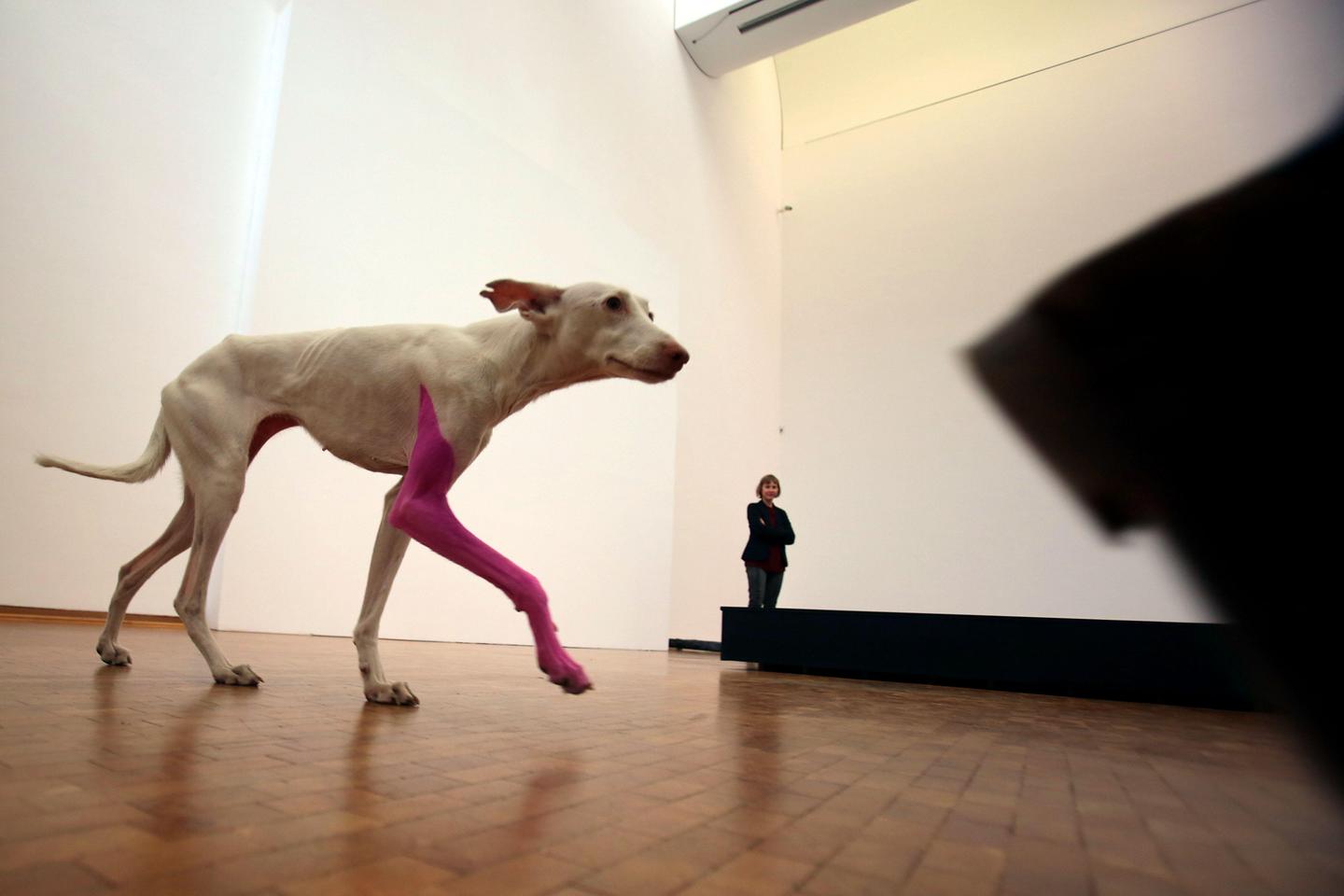 D???Offenbach à David Bowie, ces ??uvres qui ont du chien