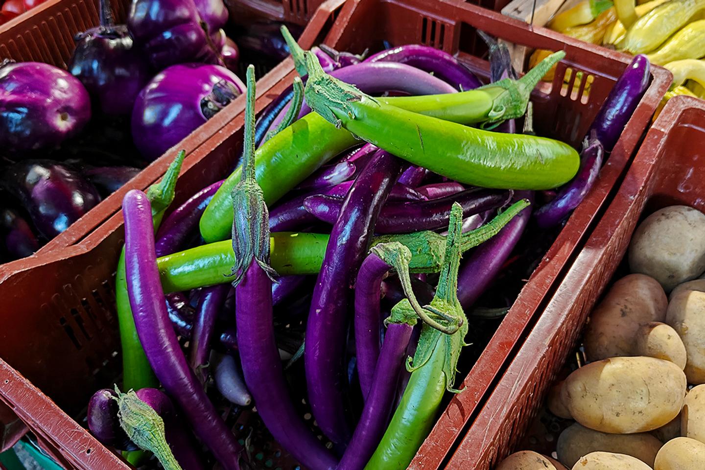 A Saint-Jean-de-Luz, aubergines asiatiques et encornets frais