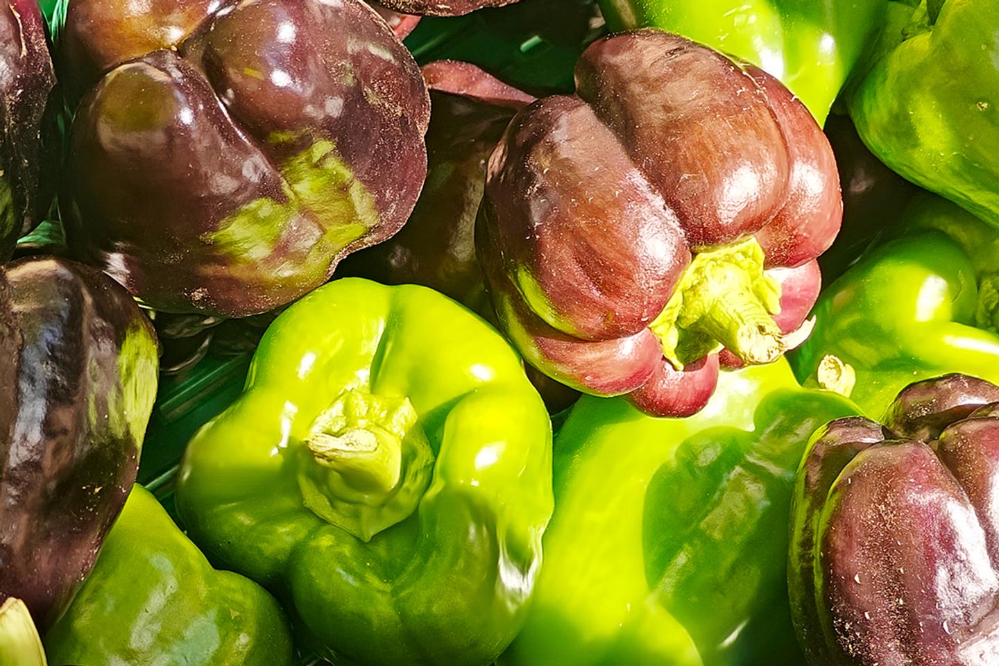 A Bastia, poivrons Bellania et miel du maquis