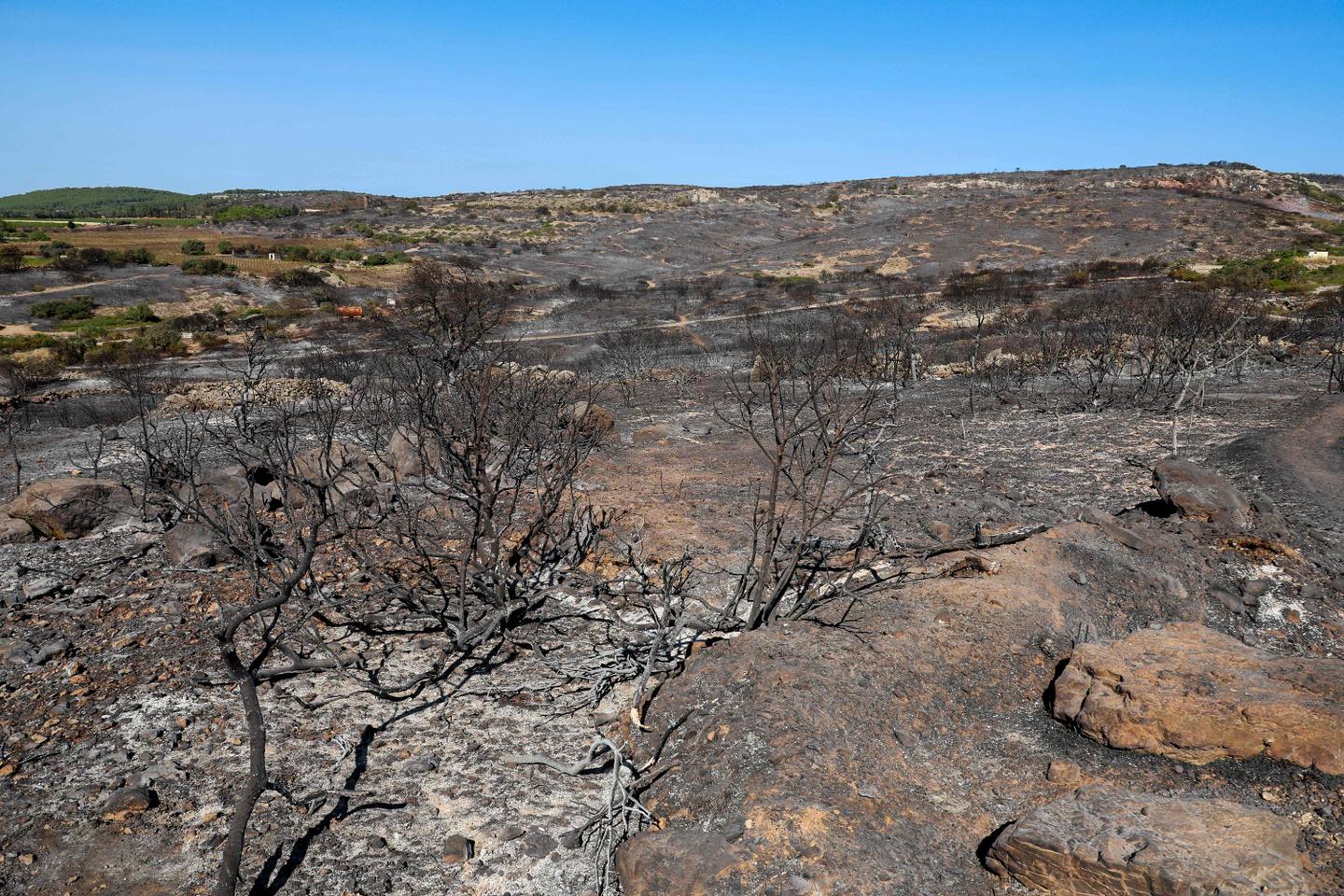 Face aux risques d???incendies, de nombreux massifs forestiers du sud-est de la France interdits...