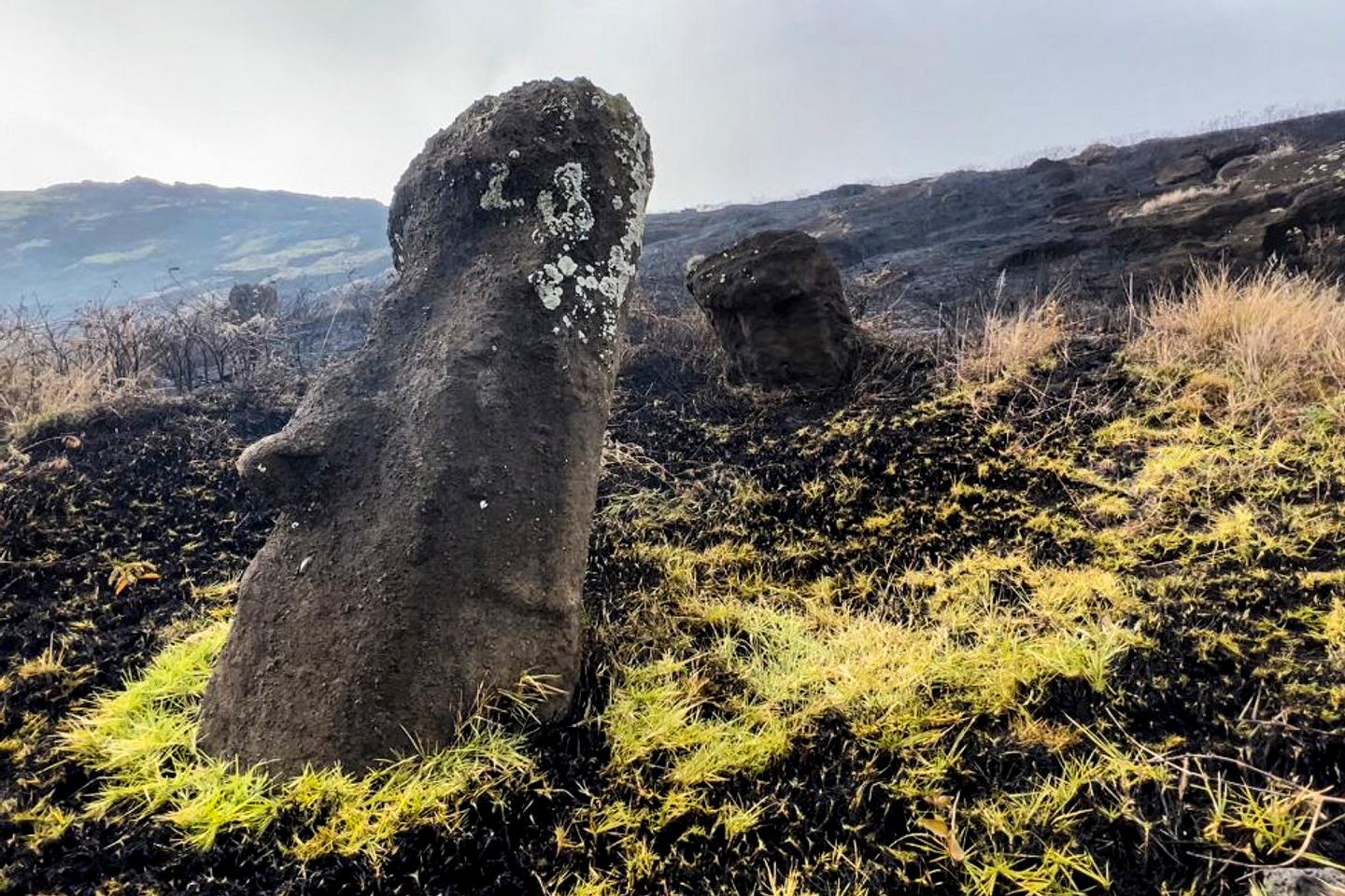 Les statues géantes de l???île de Pâques menacées par le changement climatique : « Il faut...