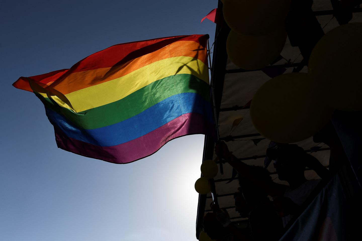 Martinique : une exposition de photos d???artistes LGBT détruite et couverte de tags...