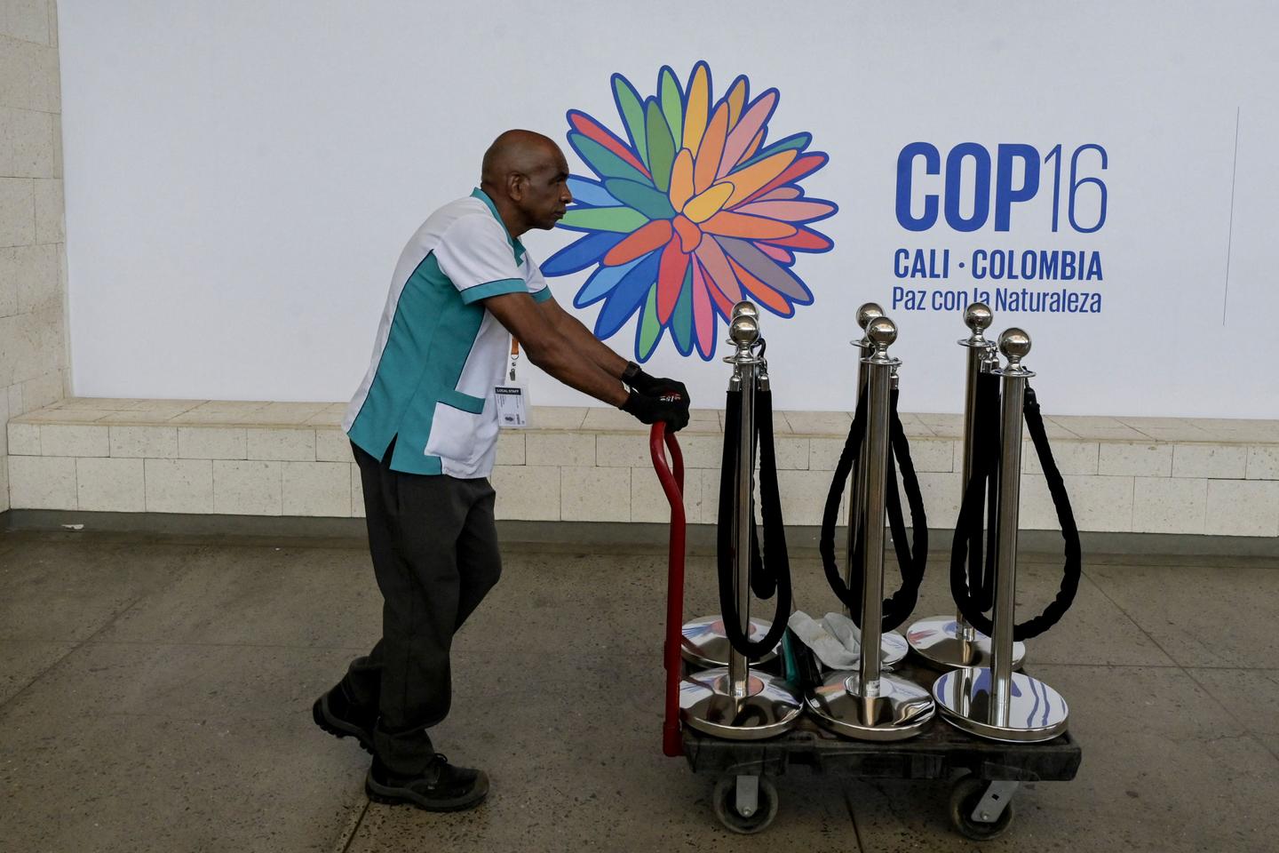 COP16 sur la biodiversité : à Cali, les Etats devront transformer en actes leurs promesses de...