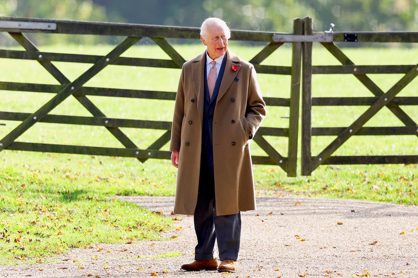 Le roi d’Angleterre et le coquelicot rouge, c’est peut-être un détail pour vous…