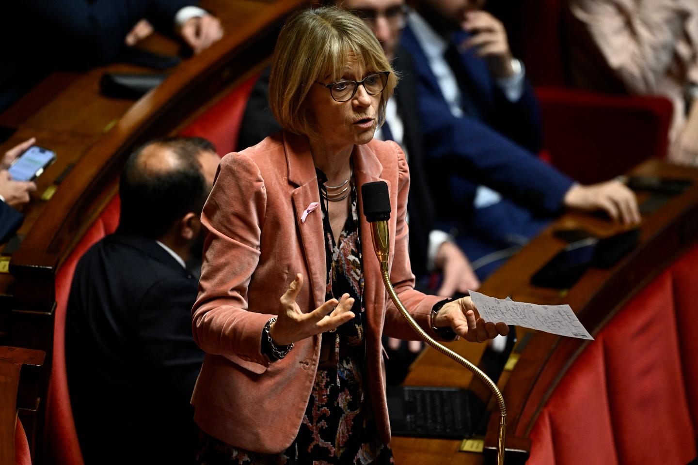 Budget 2025 : Véronique Louwagie, l’experte-comptable de LR, omniprésente dans les débats à...