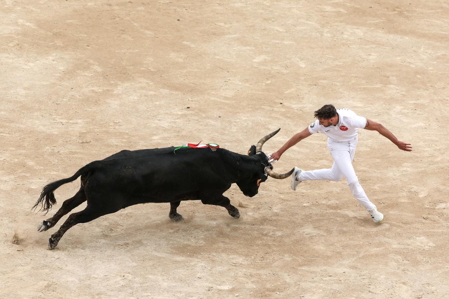 Corrida : le Sénat examine un texte visant à interdire l’accès aux moins de 16 ans