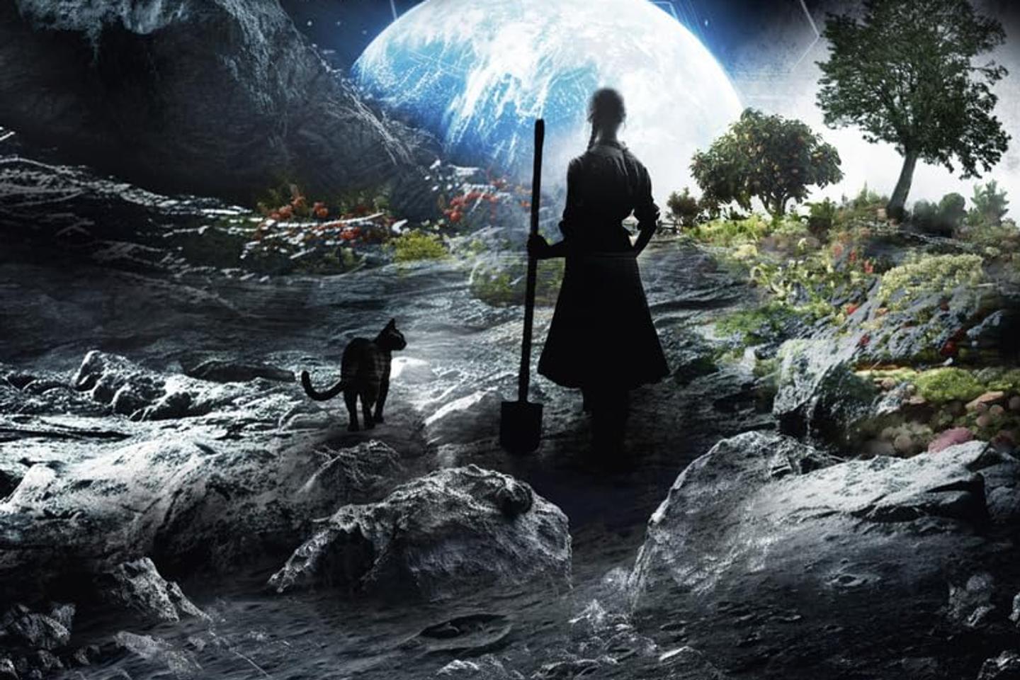 Nos choix de lectures : « Je suis celle que vous cherchez », « Les Champs de la Lune »,...