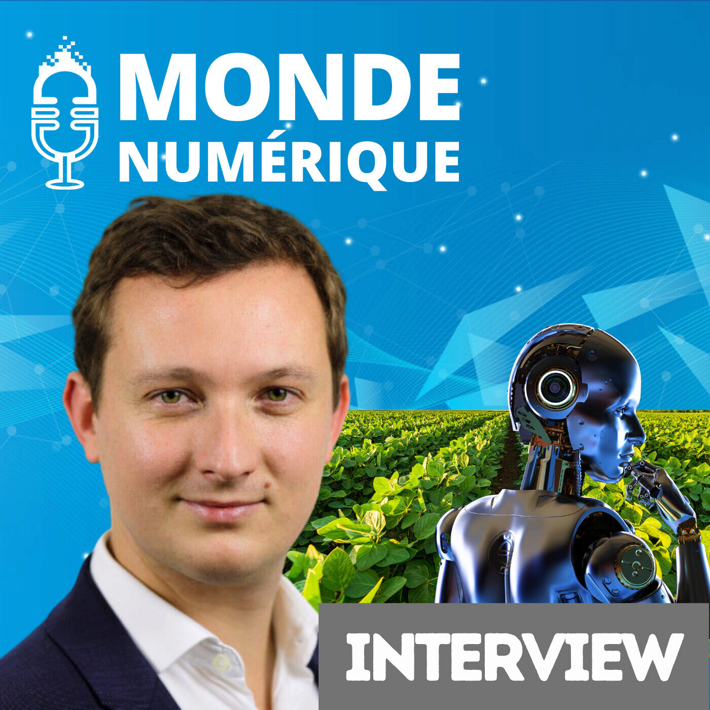Le jumeau numérique au service de l'agriculture (Aimé Lachapelle, Emerton Data)