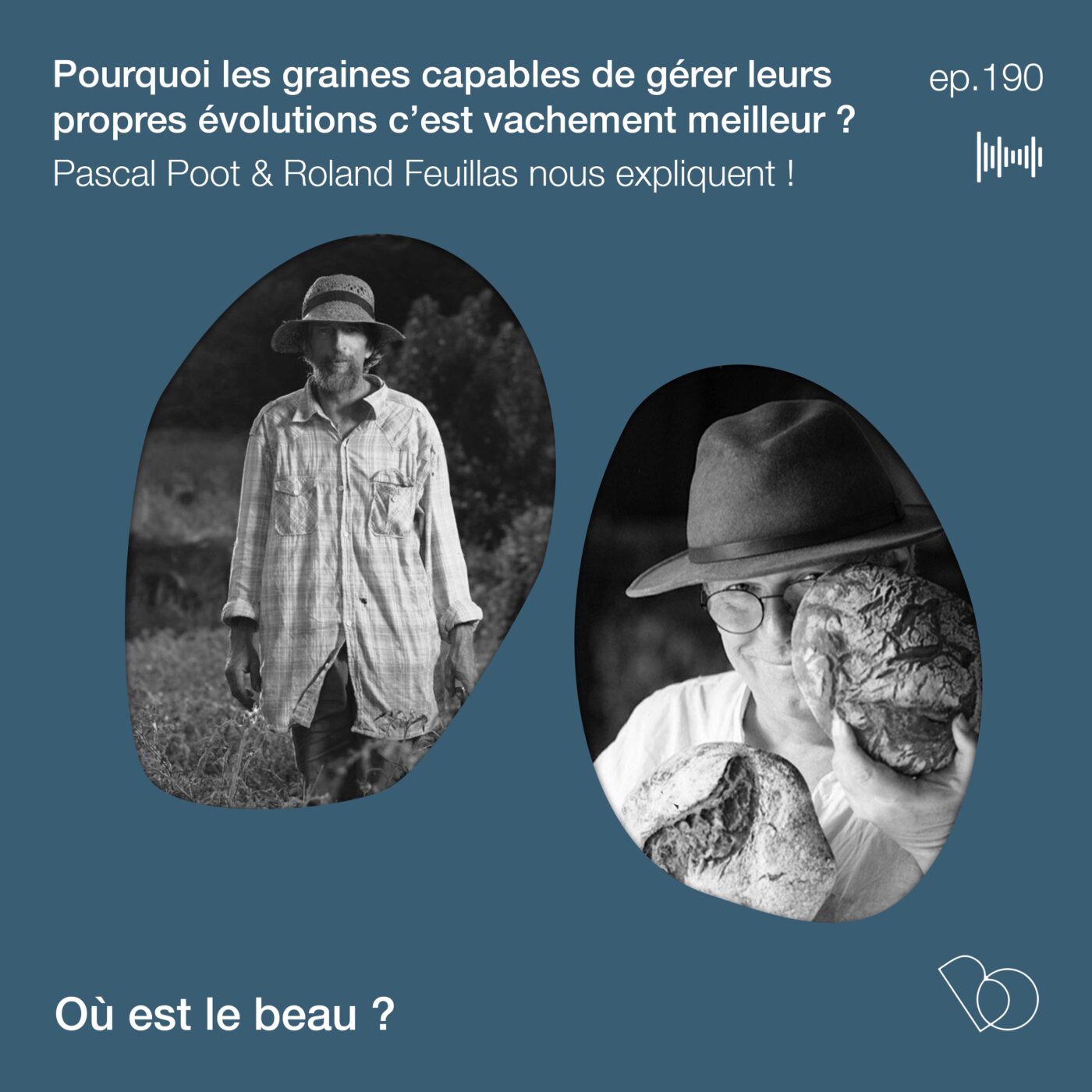 #190 - Pourquoi les graines capables de gérer leurs propres évolutions c’est vachement meilleur...