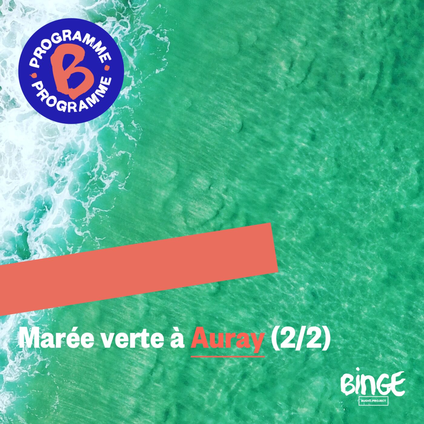 MarÃ©e verte Ã  Auray (2/2)