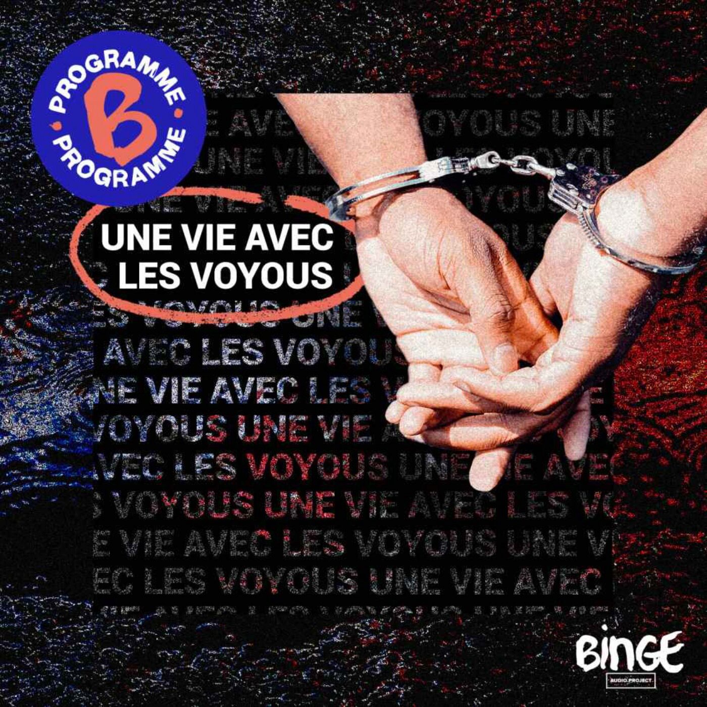 Une vie avec les voyous | 5/7