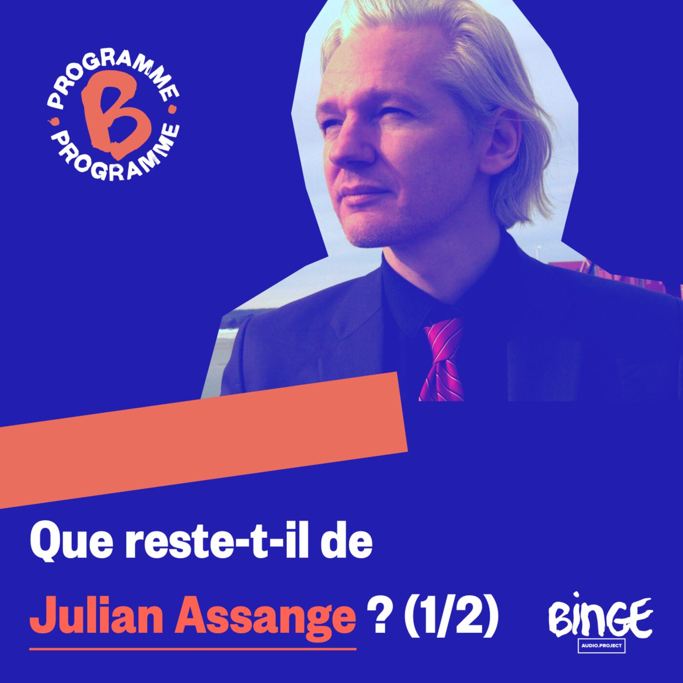 Que reste-t-il de Julian Assange ? (1/2)