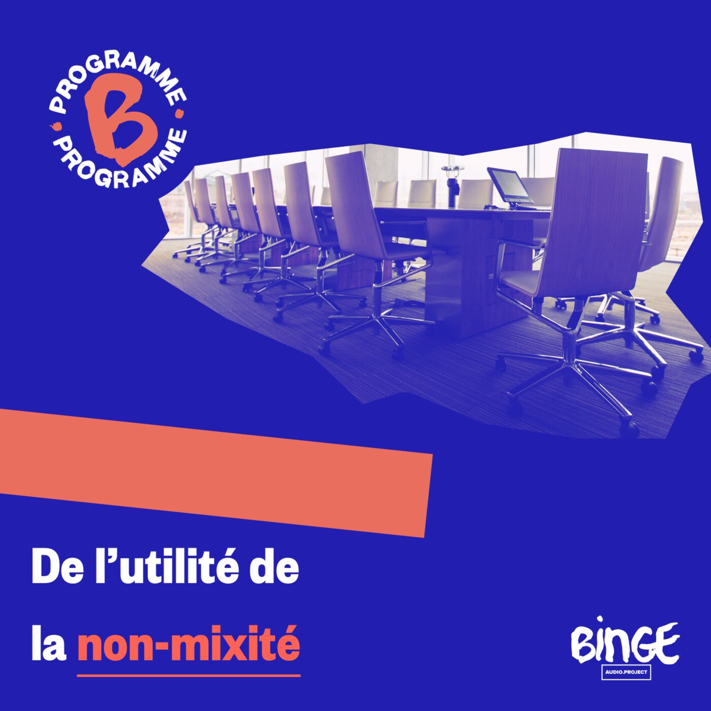 De l'utilité de la non-mixité