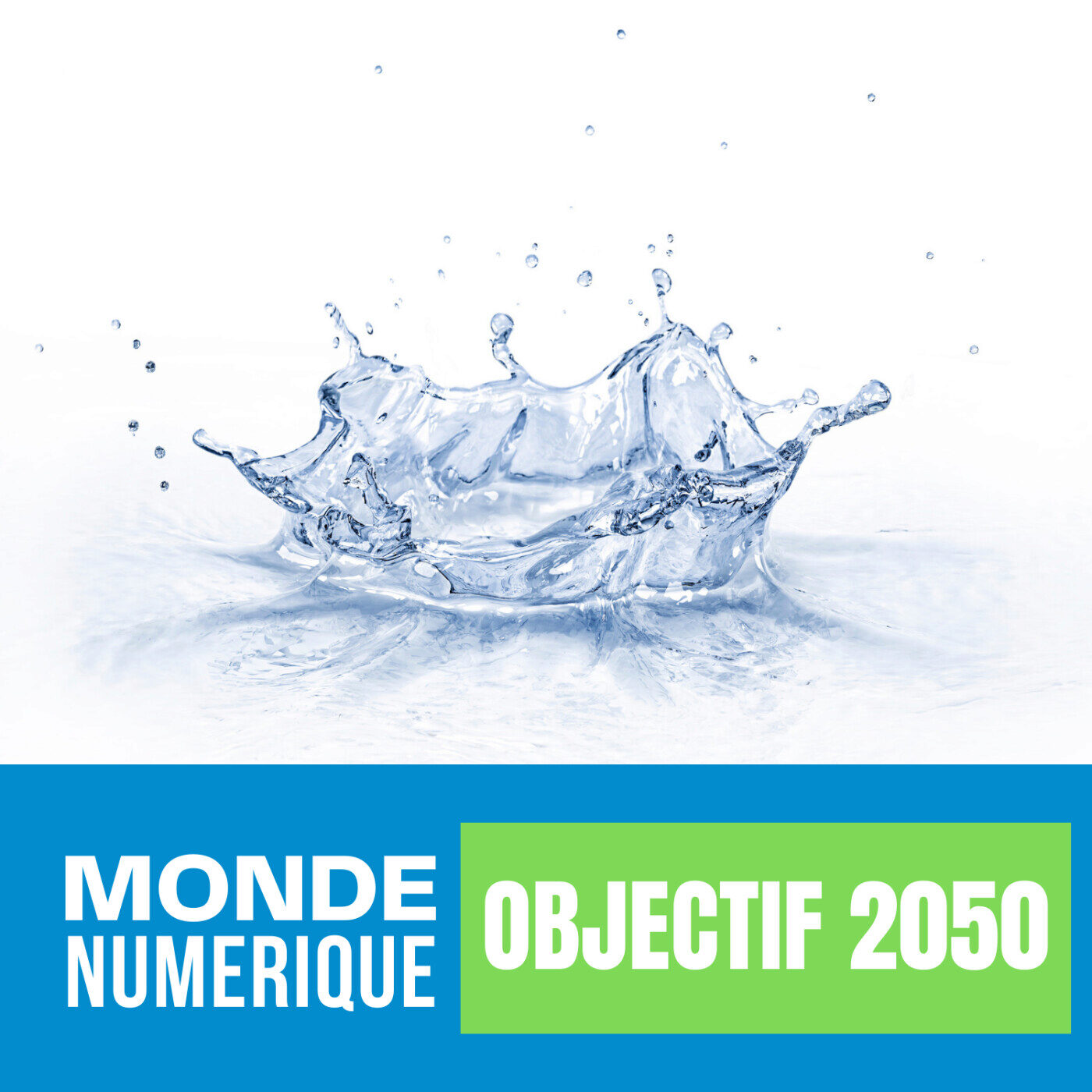 (OBJECTIF 2050) Jumeaux numériques, robots de canalisations... Les innovations au service de l'eau
