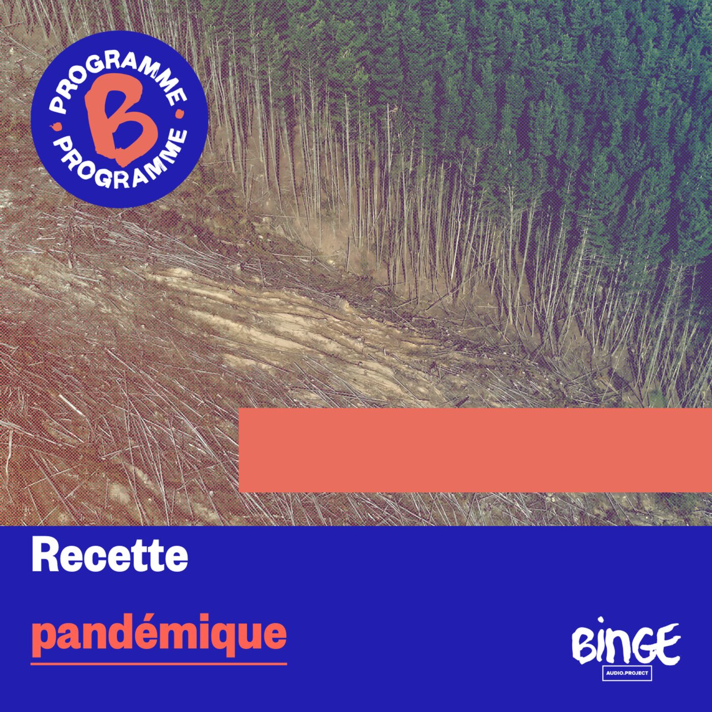 Recette pandémique