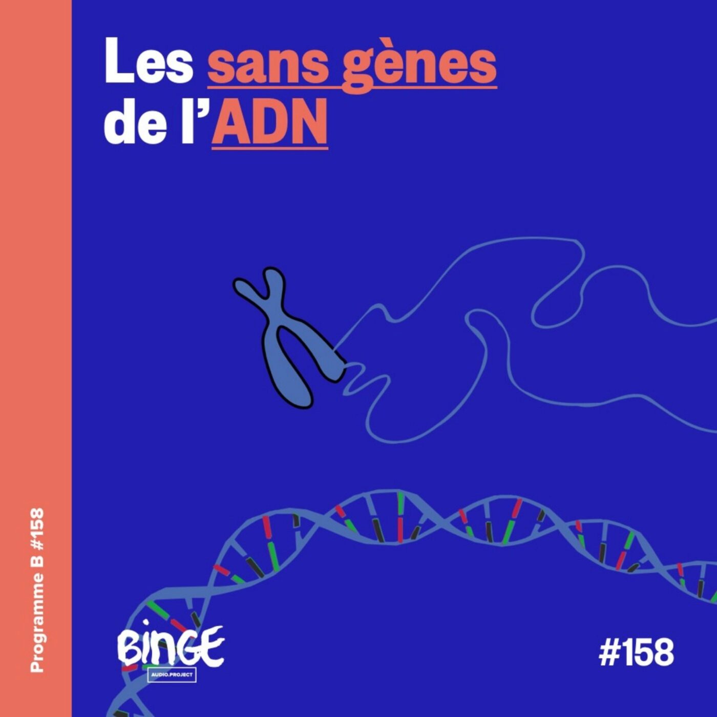 Les sans gènes de l’ADN