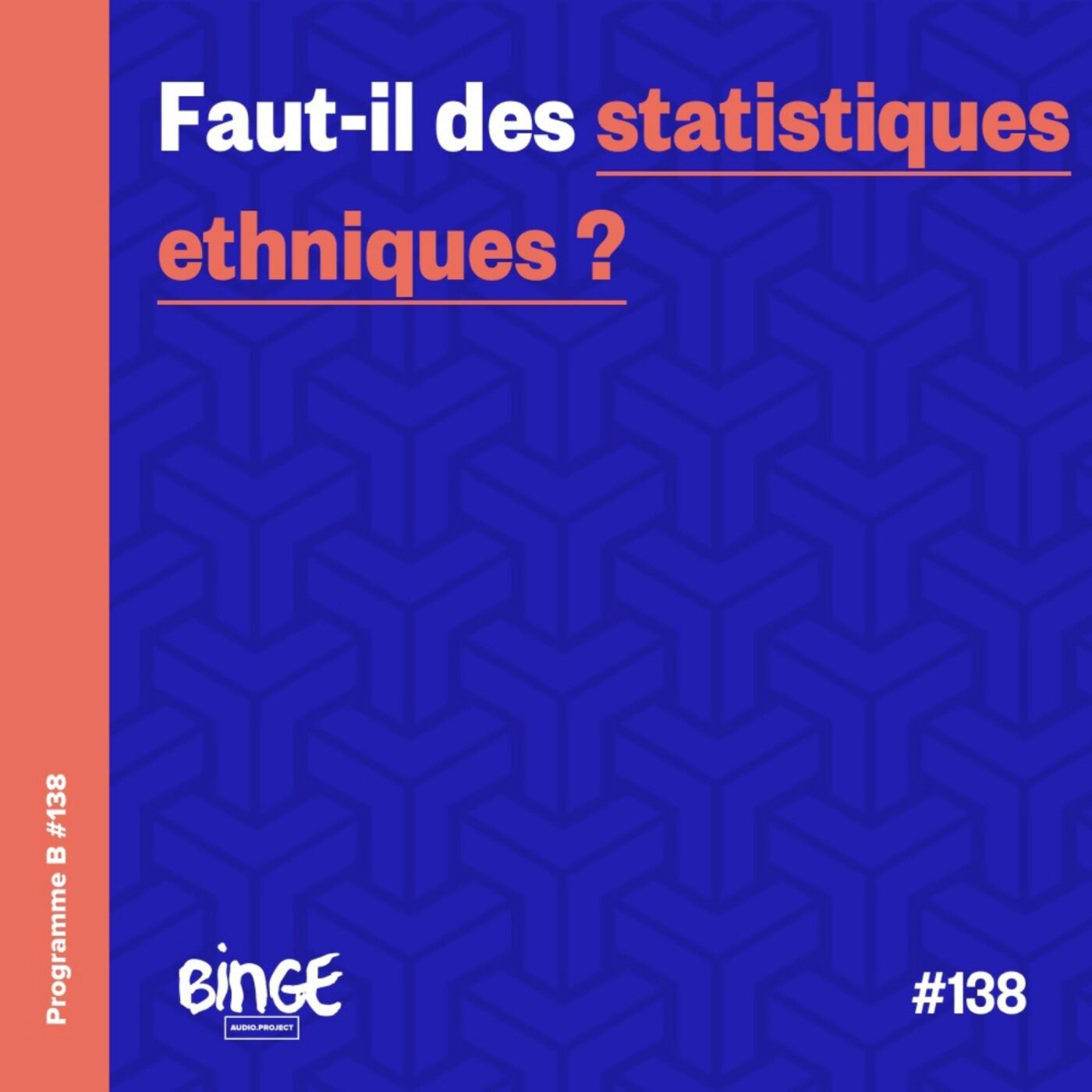 Faut-il des statistiques ethniques ?