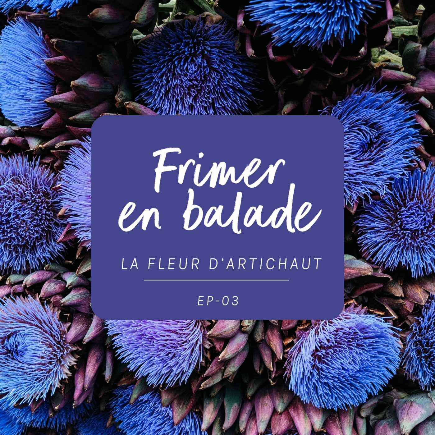 #3 - La fleur d'artichaut (Frimer en balade)