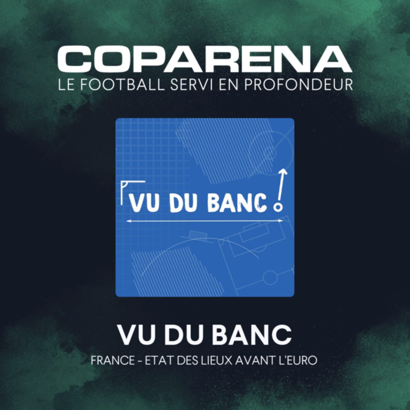 Equipe de France : Dernier bilan avant l'Euro