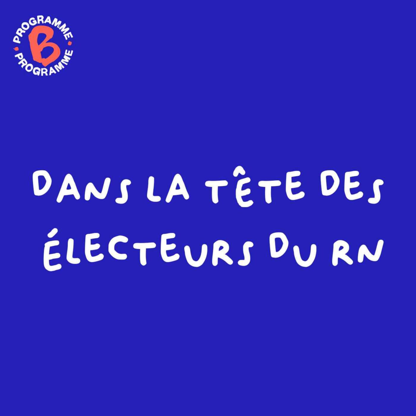 Dans la tête des électeurs du RN