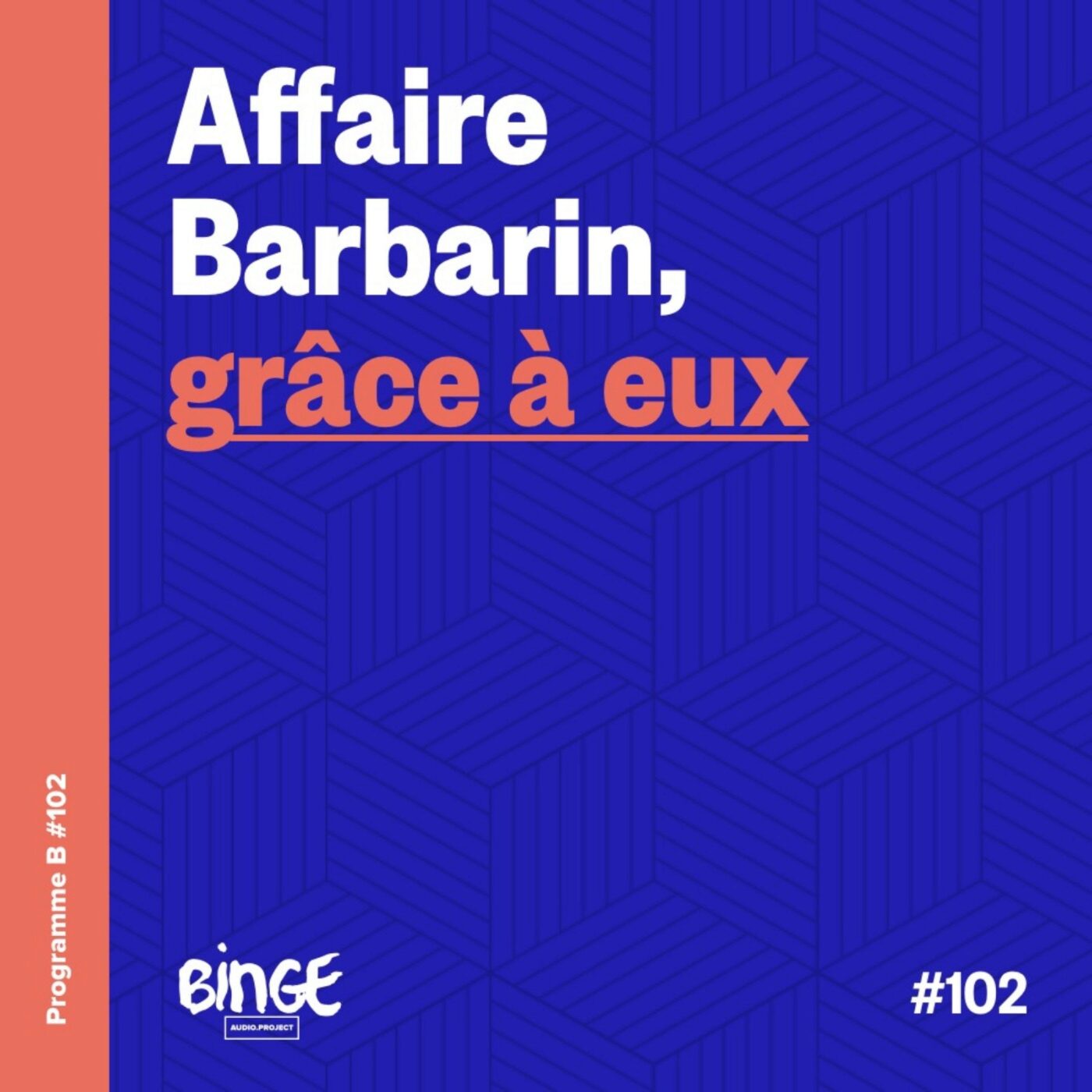 Affaire Barbarin, grâce à eux