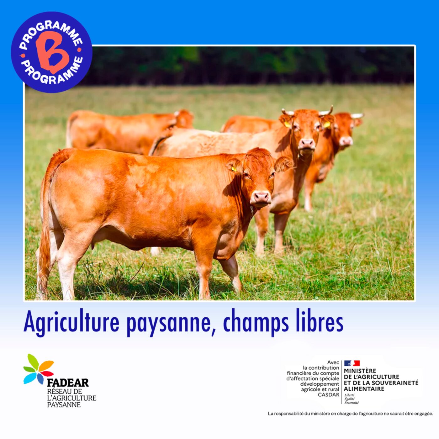 Agriculture paysanne, champs libres