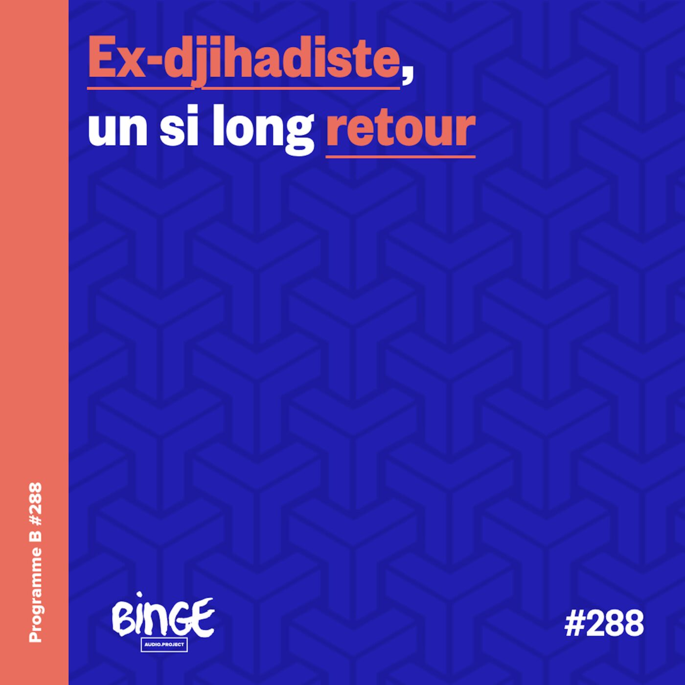 Ex-djihadiste, un si long retour