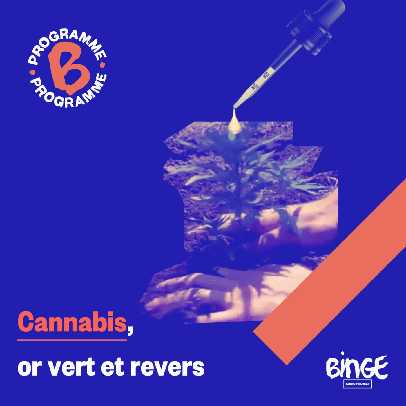 Cannabis, or vert et revers