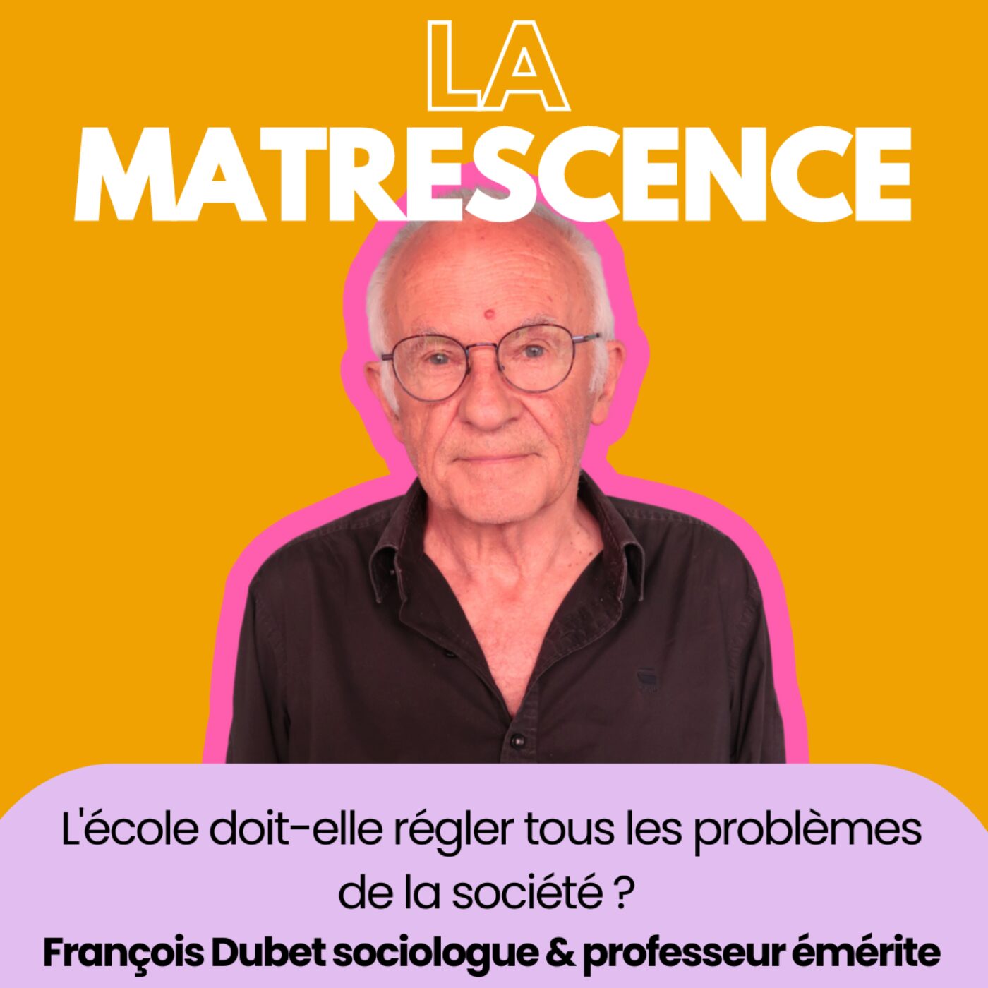 202 - L'école doit-elle régler tous les problèmes de la société ? François Dubet sociologue &...