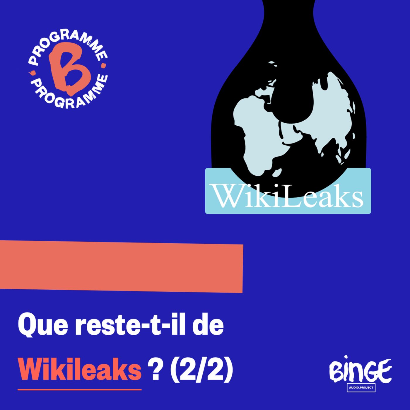 Que reste-t-il de Wikileaks ? (2/2)