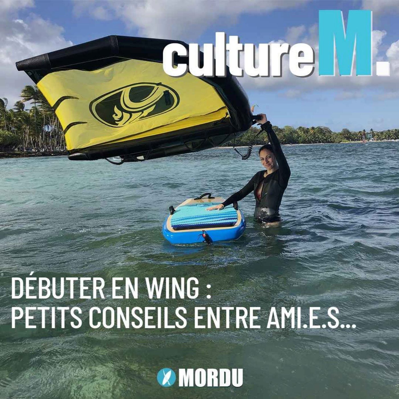 Culture M #4 - Débuter en wing : petits conseils entre ami.e.s...