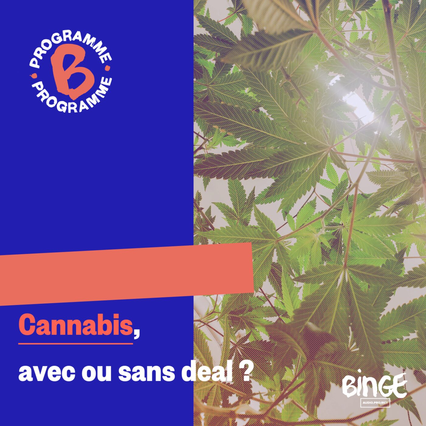 Cannabis, avec ou sans deal ?