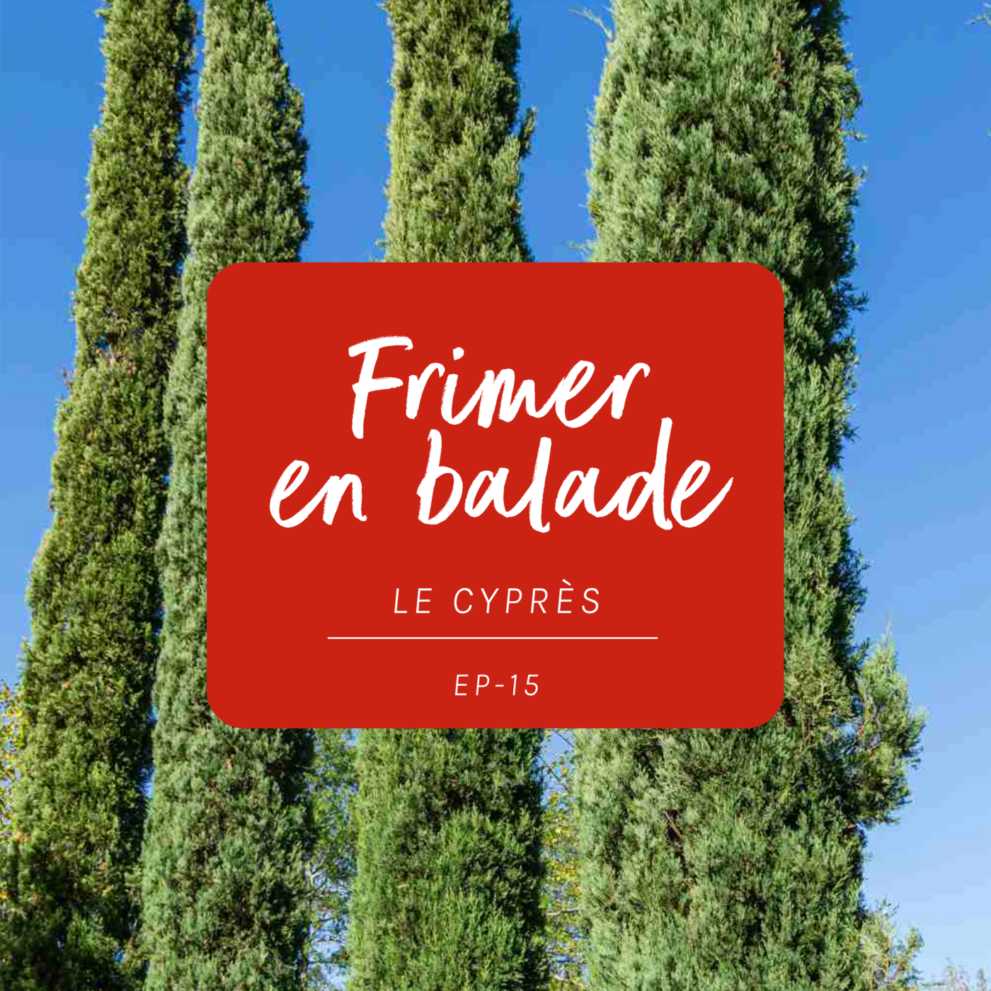 #15 - L’histoire du Cyprès (Frimer en balade)