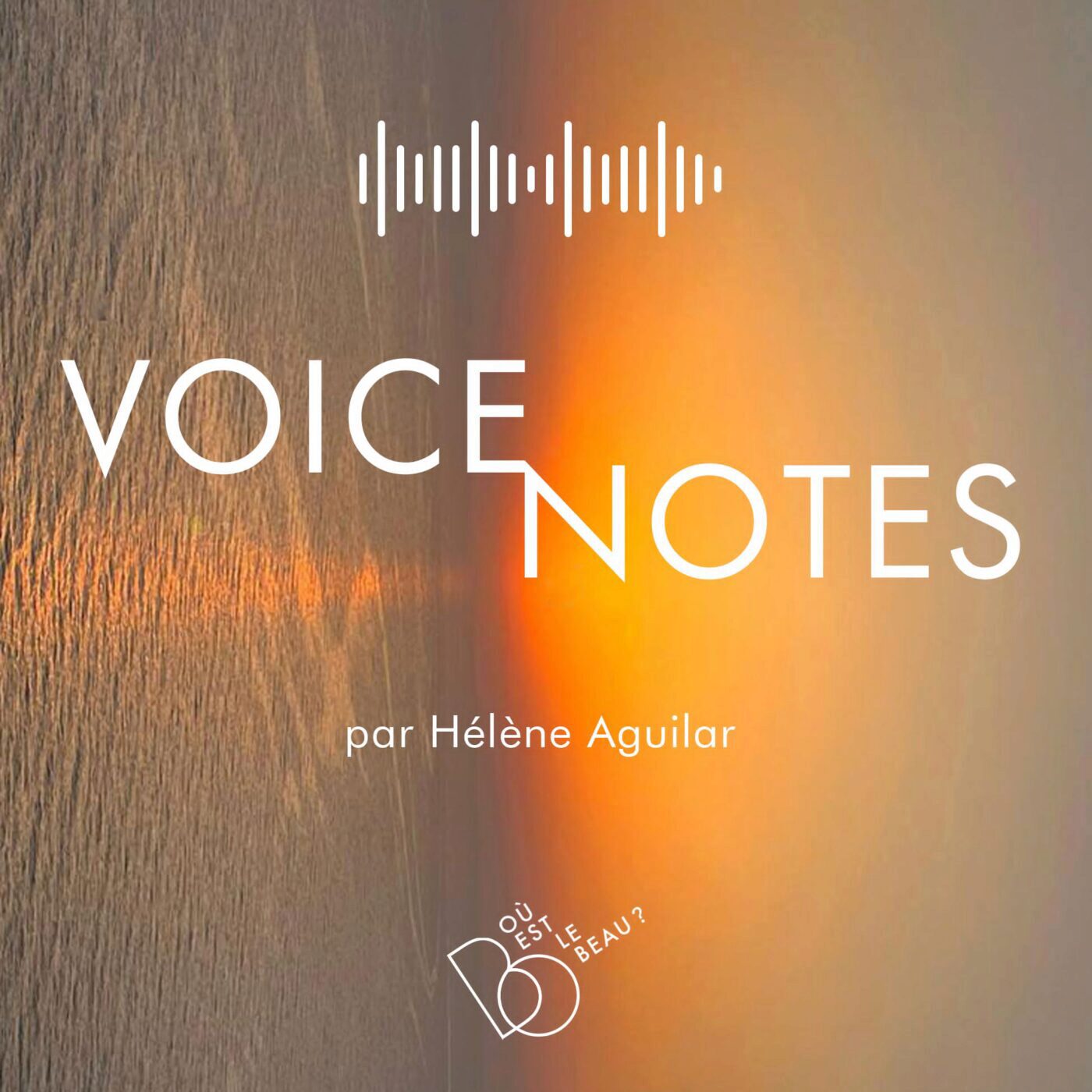 🎤#7 - J’active mes graines 🌾🌰🥜👩‍🍳  [Voice Note]