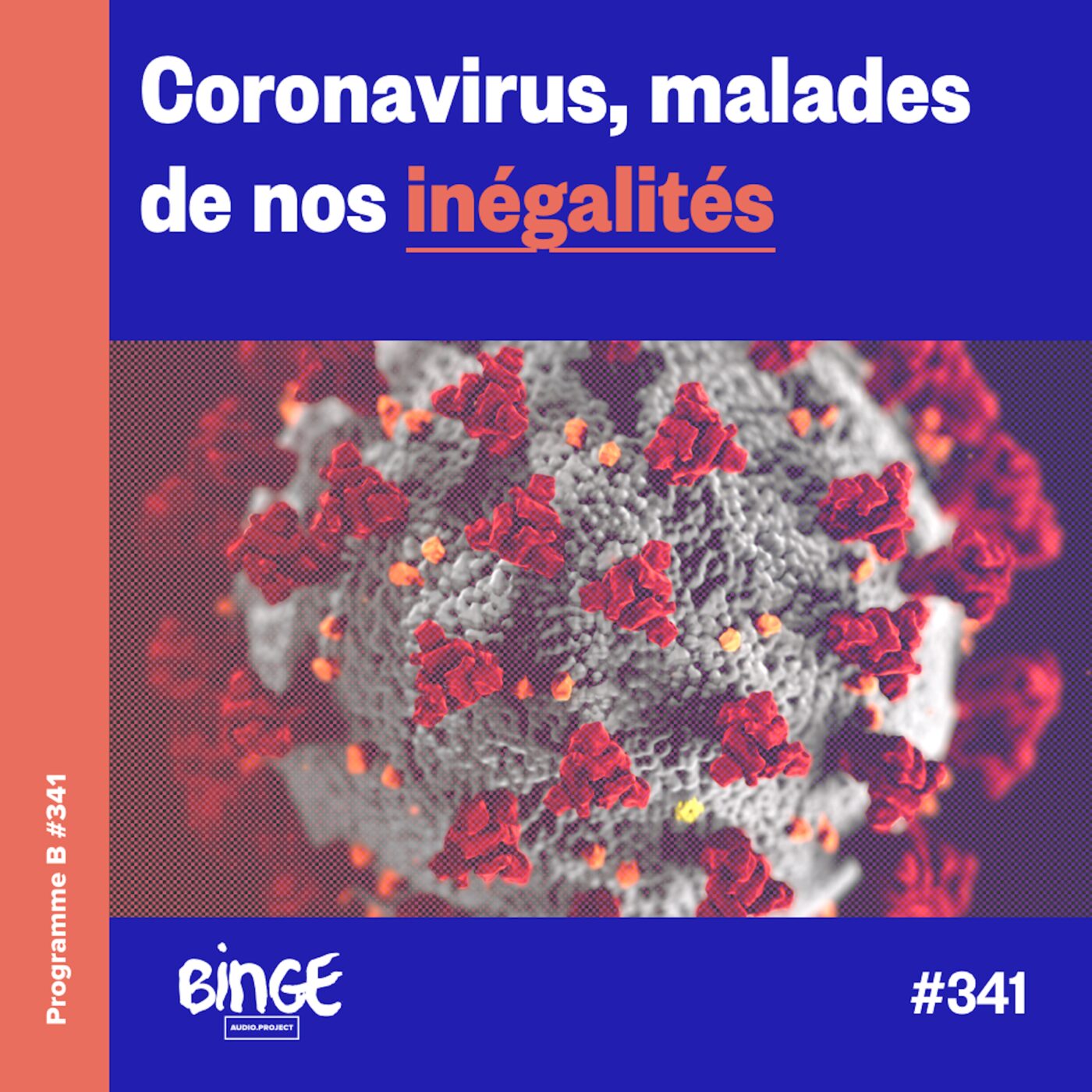 Coronavirus, malades de nos inégalités