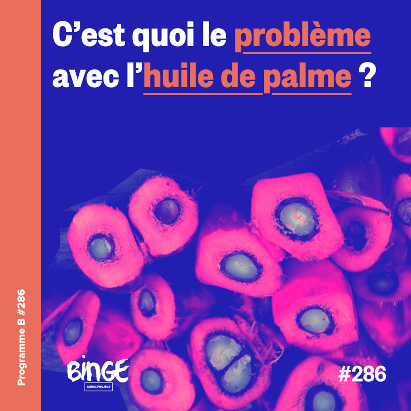 C'est quoi le problème avec l'huile de palme ?