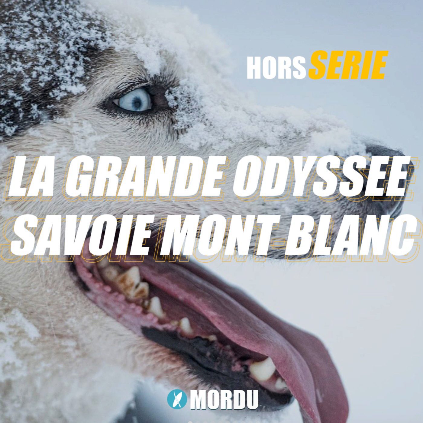 Hors série : La Grande Odyssée Savoie Mont Blanc - Portrait de Musher (1/4) : Philippe DESMURGER